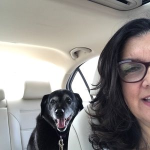 Meet your Posher, Donna